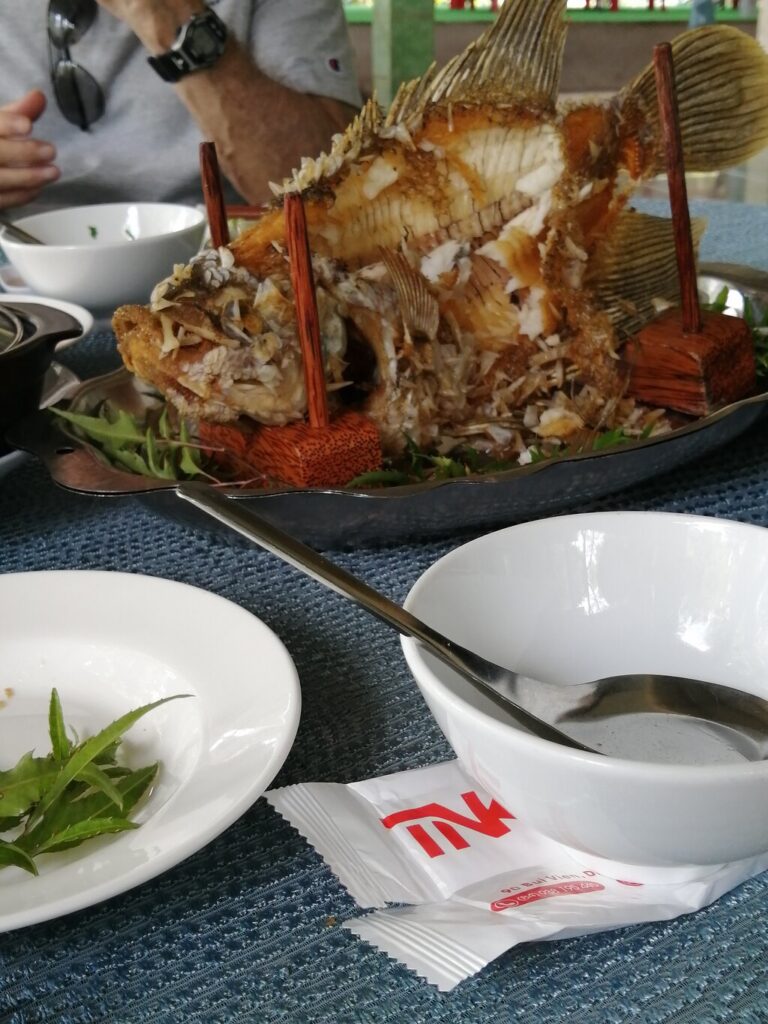 Image #4 from Dixiegals