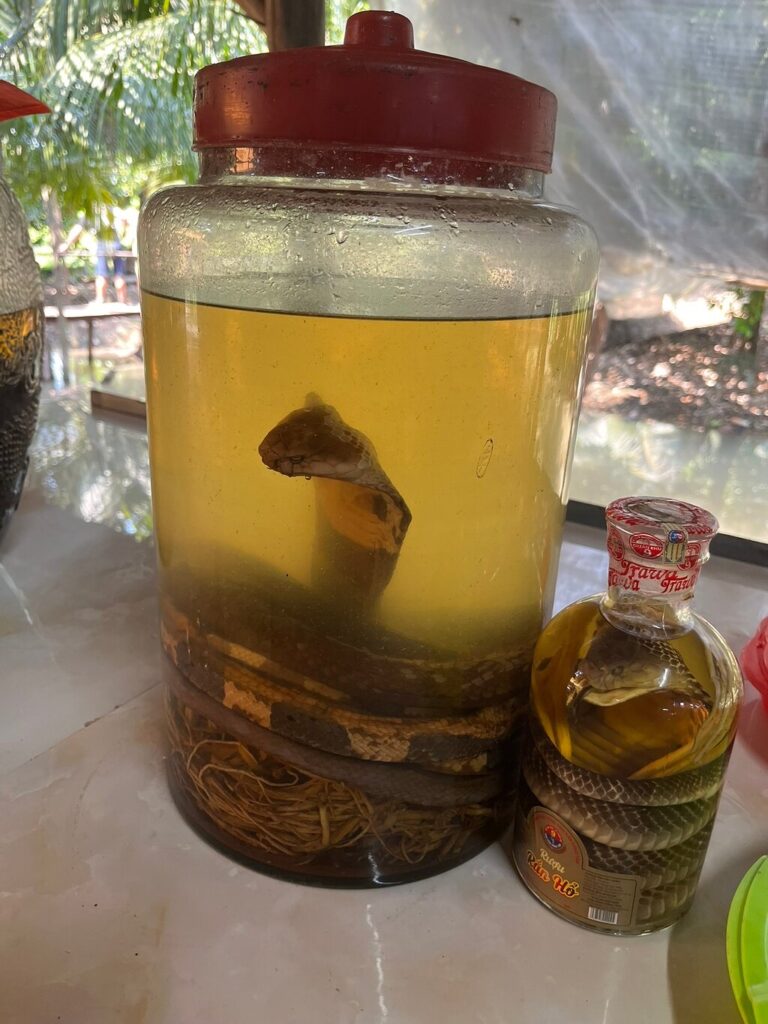 Image #2 from Lisa M